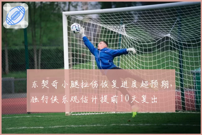 东契奇小腿拉伤恢复进度超预期,独行侠乐观估计提前10天复出