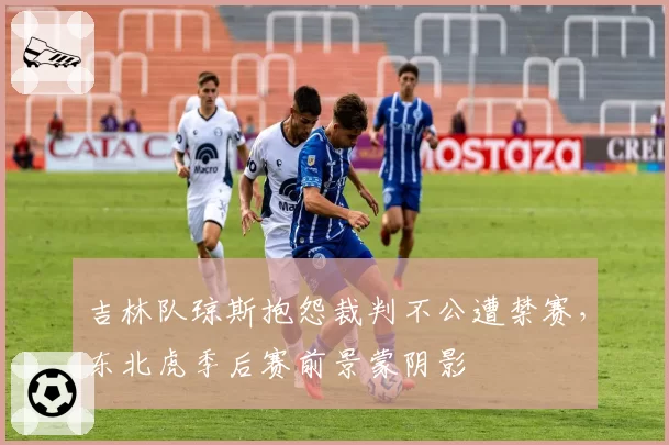 吉林队琼斯抱怨裁判不公遭禁赛，东北虎季后赛前景蒙阴影